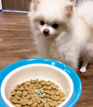 Instagram SNSでも話題