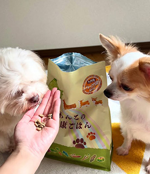 Instagram SNSでも話題