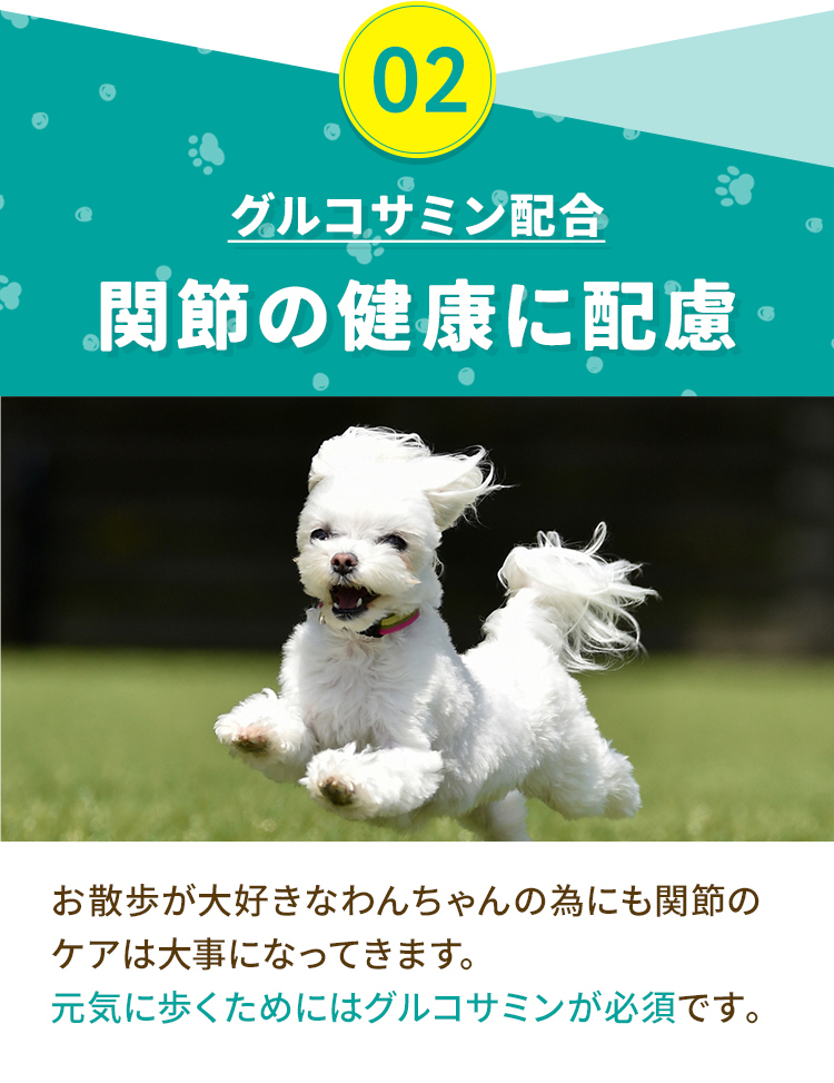 02グルコサミン配合 関節の健康に配慮
