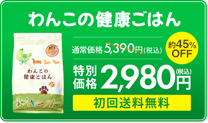 特別価格2,980円 送料無料