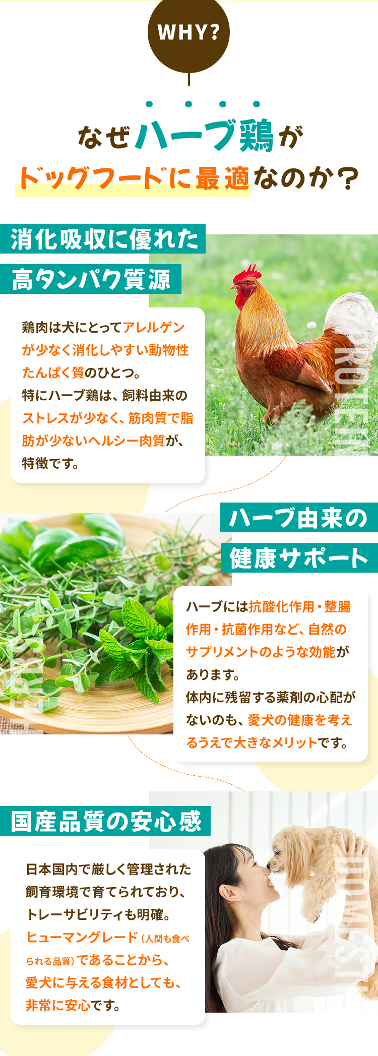 なぜ「ハーブ鶏」がドッグフードに最適なのか？