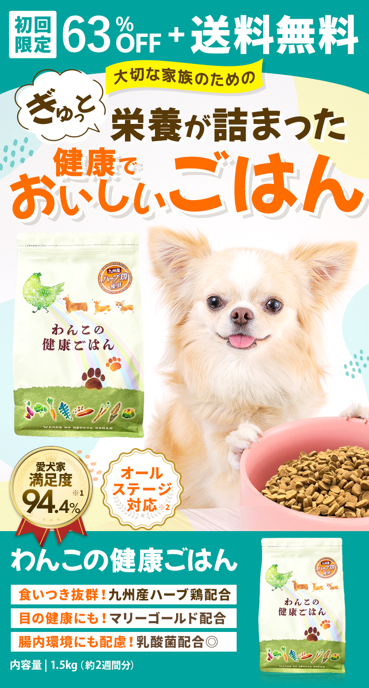 初回限定63%OFF+送料無料 大切な家族のためのぎゅっと栄養が詰まった健康でおいしいごはん