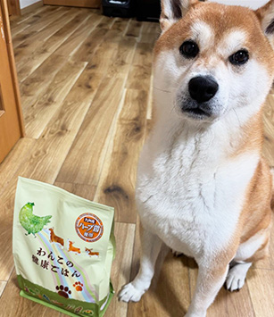 Instagram SNSでも話題