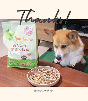 Instagram SNSでも話題