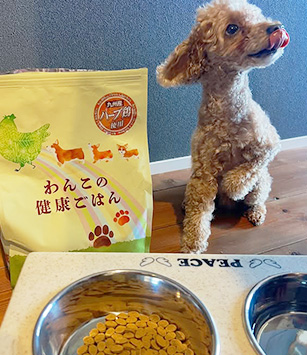 Instagram SNSでも話題