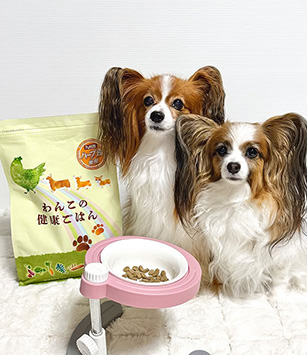 Instagram SNSでも話題