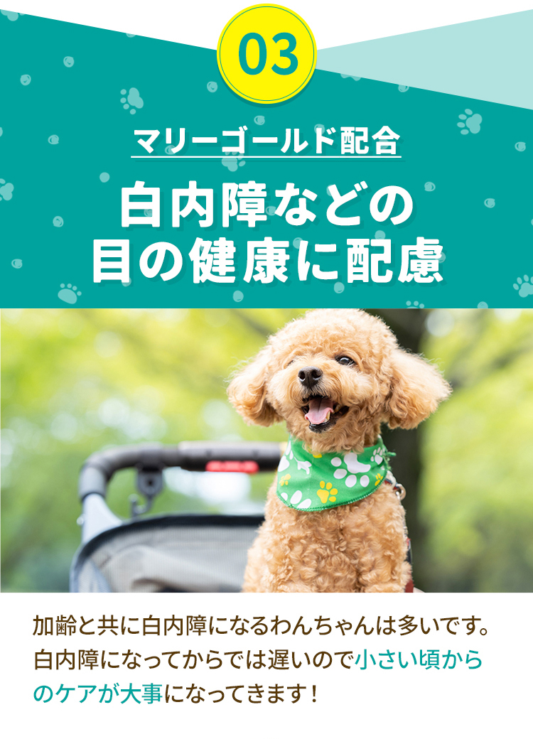 03マリーゴールド配合 白内障などの目の健康に配慮