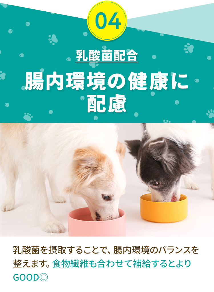 04乳酸菌配合 腸内環境の健康に配慮