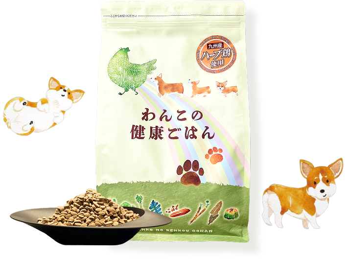 わんこの健康ごはん