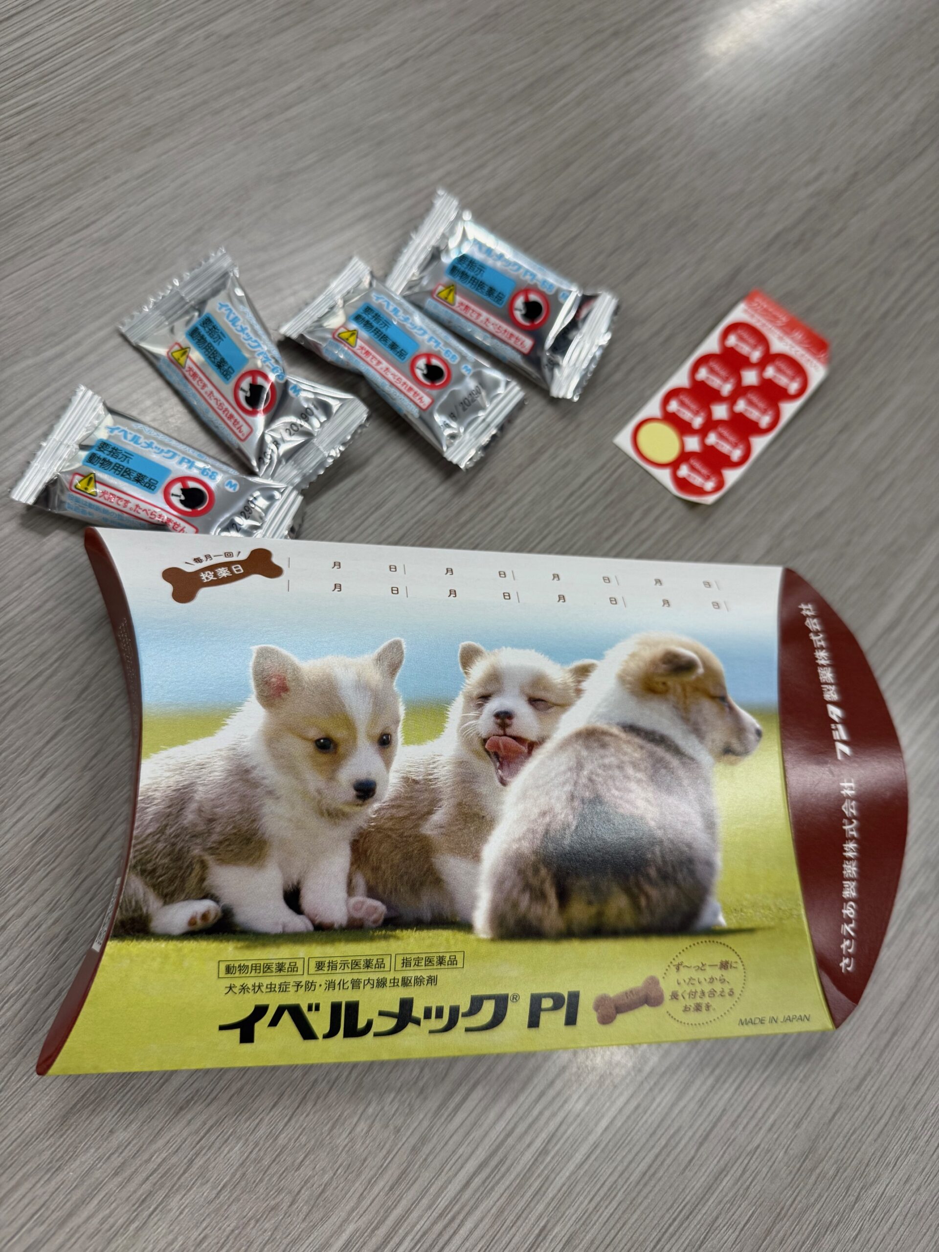わんこのフィラリアの飲み薬1