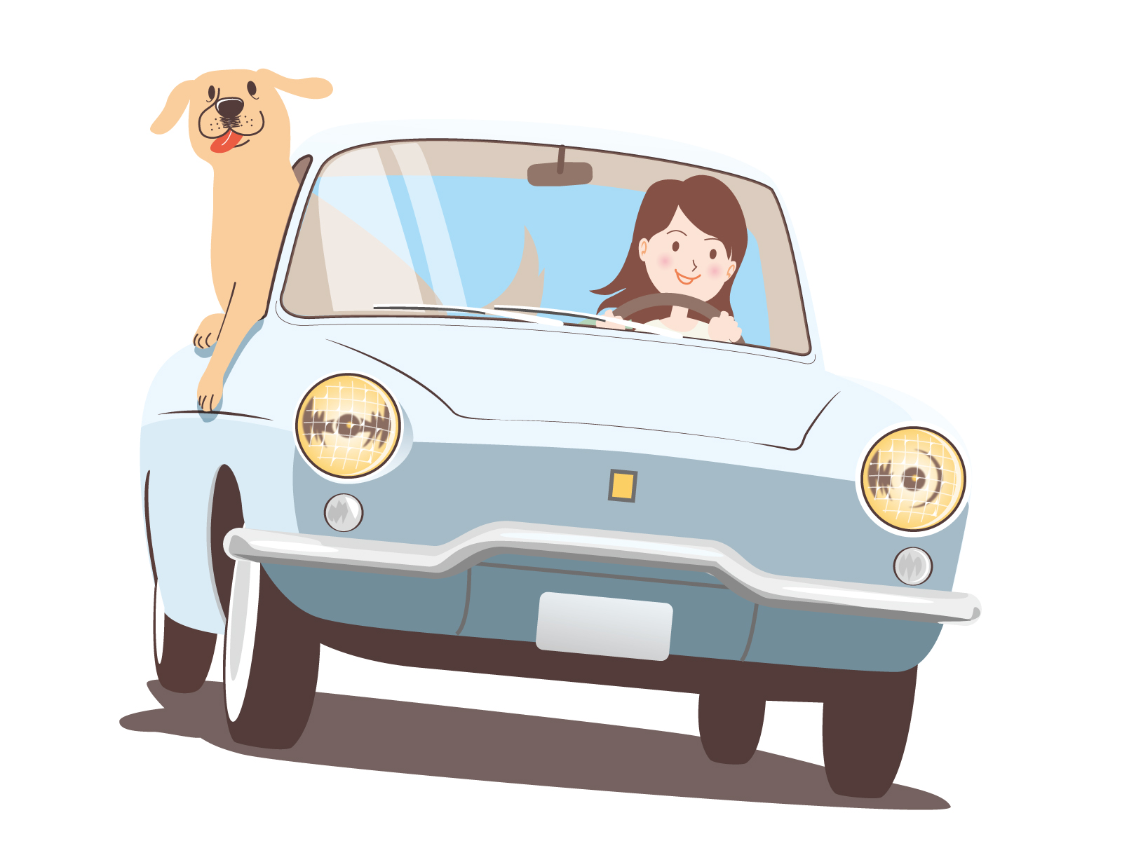 わんことドライブ