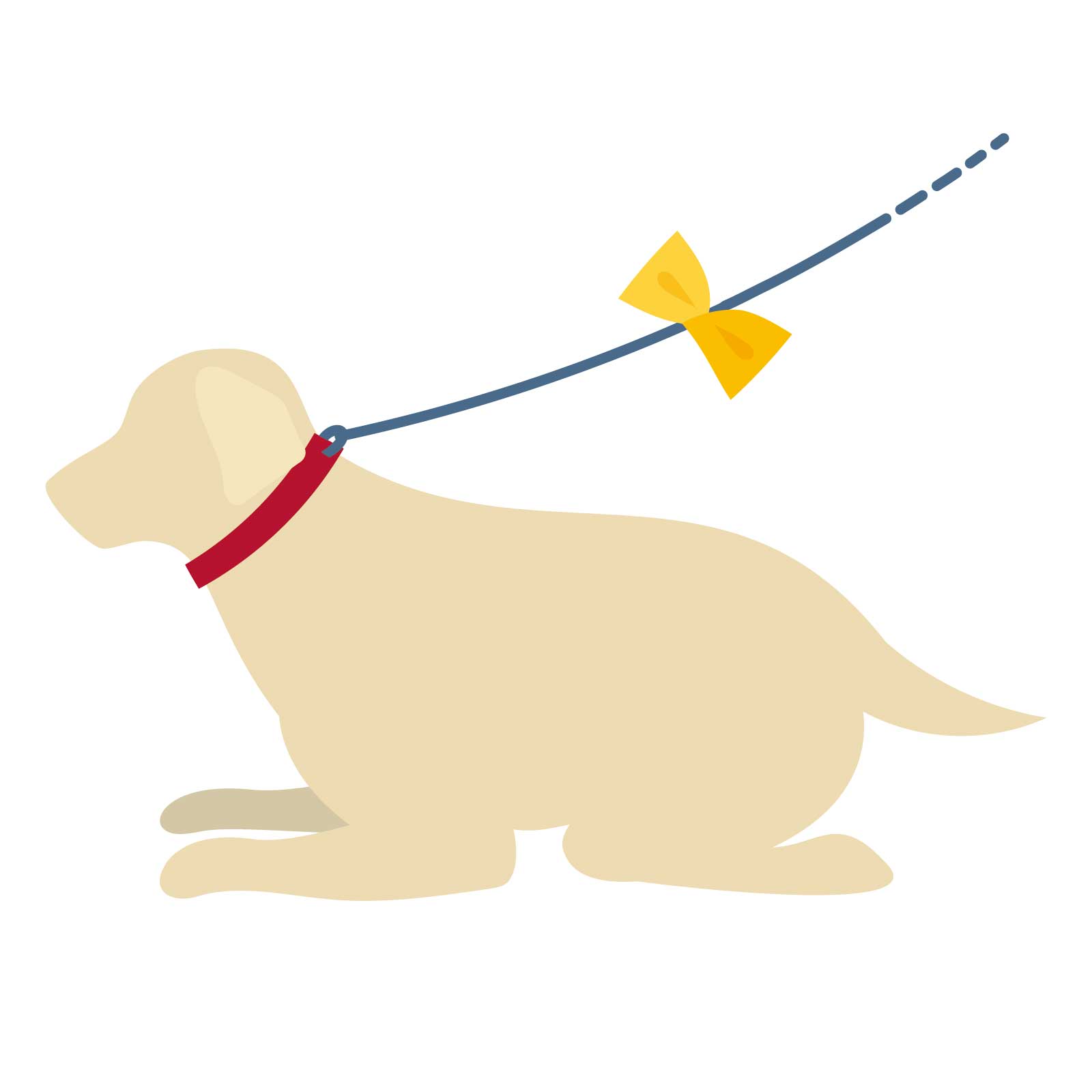 リードに黄色いリボンをつけた犬